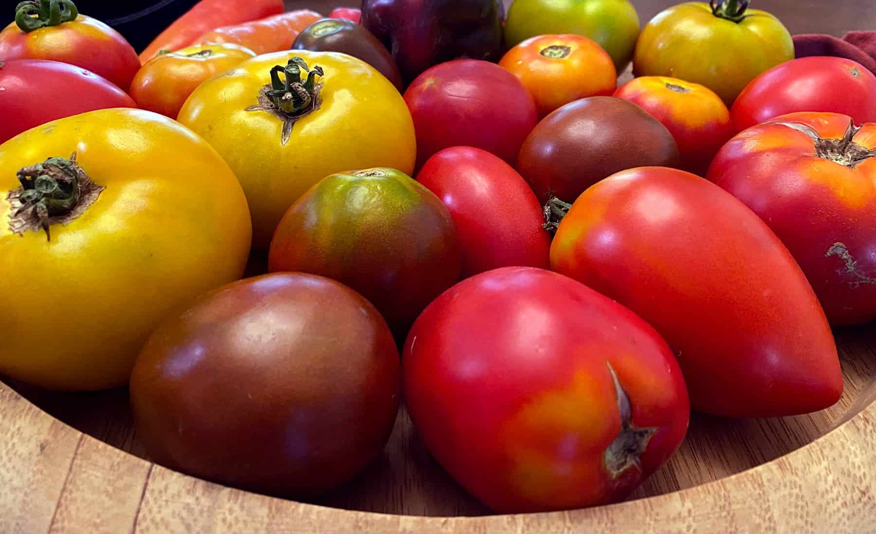 10 Ideas for Rising Tomatoes * Monumental Weblog of Gardening