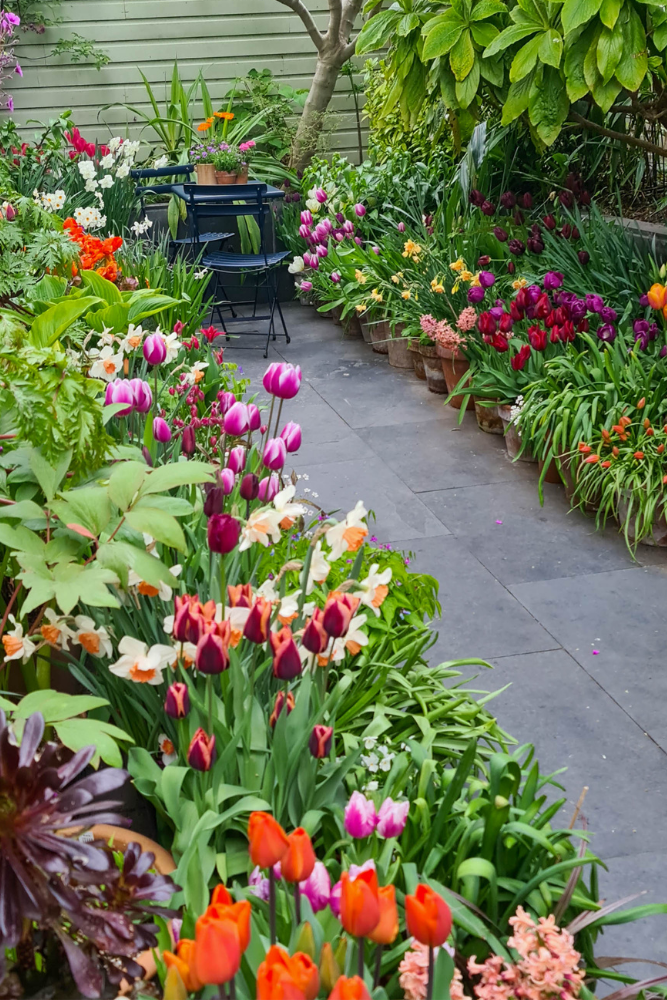 Discover ways to group pots – plus smart strategies for fabulous container planting – The Heart-Sized Yard