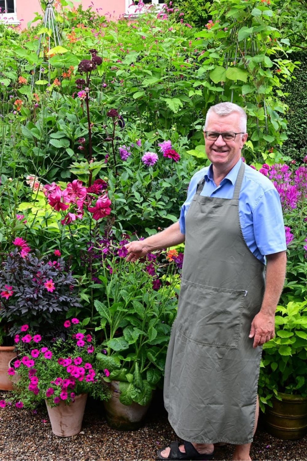 Claus Dalby on learn how to create an beautiful present with dahlias in pots – The Heart-Sized Yard